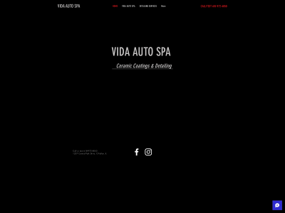 vidaautospa.com snapshot
