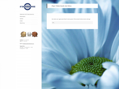 at-ekonomiservice.se snapshot