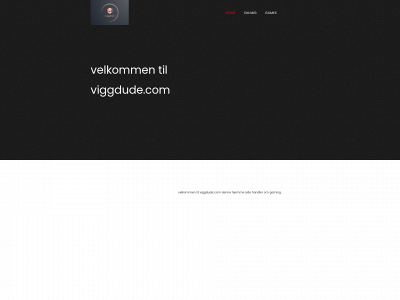 viggdude.com snapshot