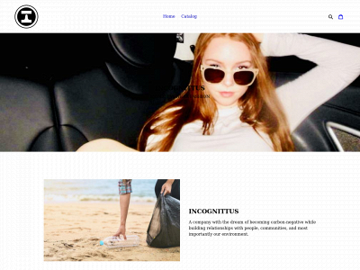 incognittus.com snapshot