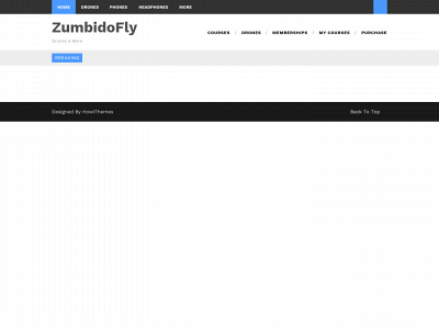 zumbidofly.com snapshot