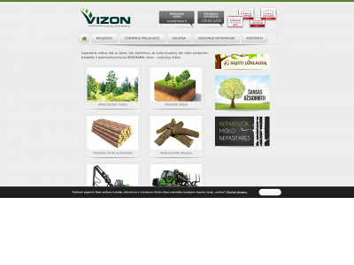 vizon.lt snapshot
