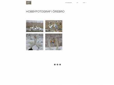 fotovidar.org snapshot