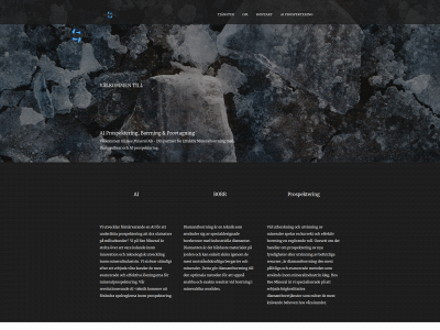 reemineral.se snapshot