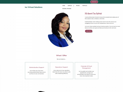 icevirtualsolutions.com snapshot