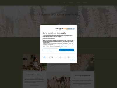 cakonsulttjanst.com snapshot