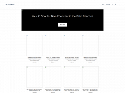 dgshoesllc.com snapshot