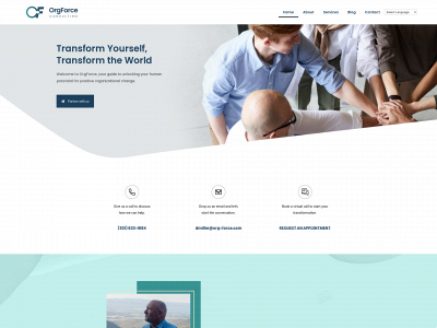 org-force.com snapshot