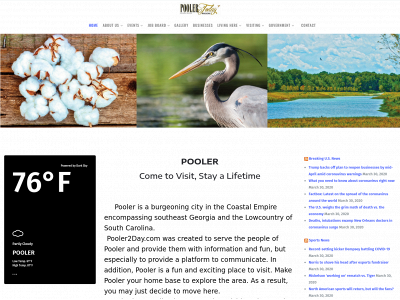 pooler2day.com snapshot