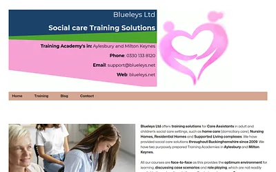 blueleys.net snapshot