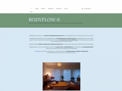 bodyflow-s.be snapshot