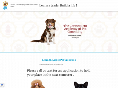 theconnecticutacademyofpetgrooming.com snapshot