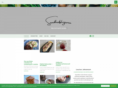 sundhedskrigeren.dk snapshot