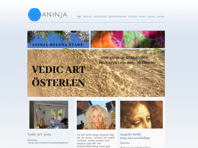 aninja.se snapshot