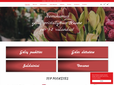 vivgeles.lt snapshot