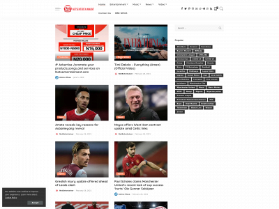 netsentertainment.com snapshot