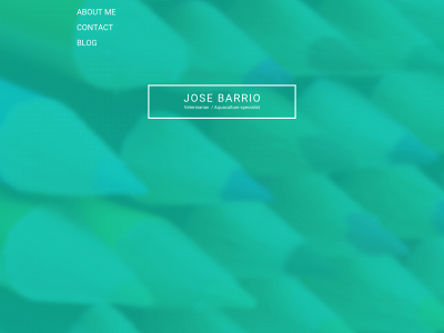 mvjbarrio.es snapshot