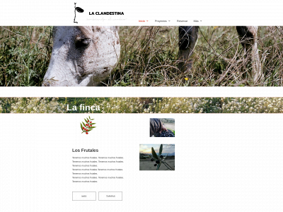 permaculturalaclandestina.org snapshot