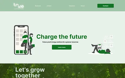 trueenergy.site snapshot