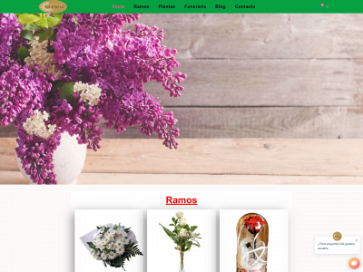 lafleur.es snapshot