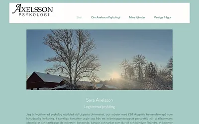 axelssonpsykologi.se snapshot