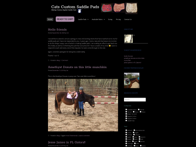 catscustomsaddlepads.com snapshot