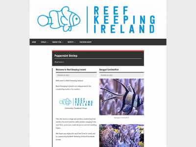 reefkeepingireland.com snapshot
