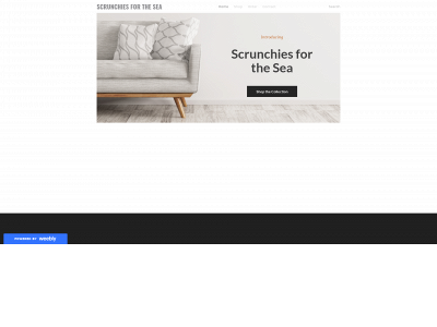 scruchiesforthesea.weebly.com snapshot
