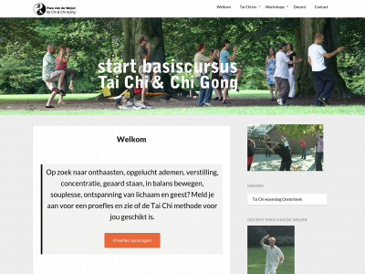 taichitheo.nl snapshot