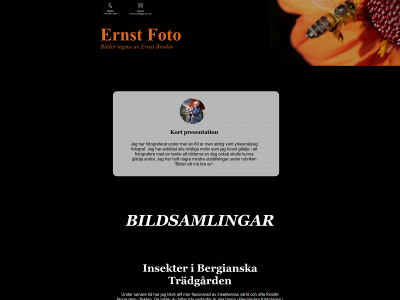 ernstfoto.se snapshot