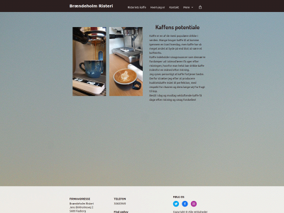 braendeholmristeri.dk snapshot