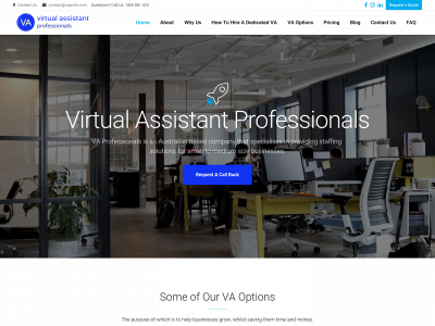 virtualassistantprofessionals.com snapshot