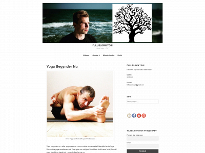 fullblownyogi.com snapshot