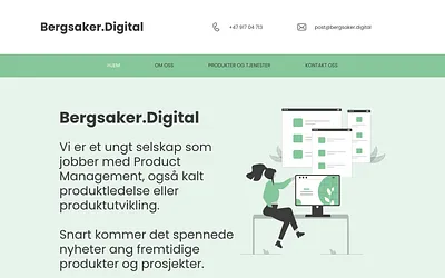 bergsaker.digital snapshot