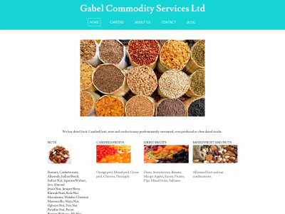 gabelcommodityservices.com snapshot