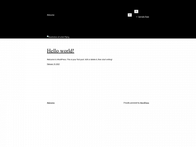 skiddlesthecat.com snapshot