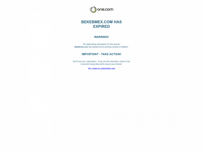 bekebmex.com snapshot