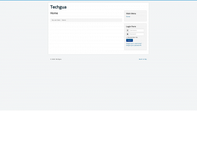 techgua.com snapshot