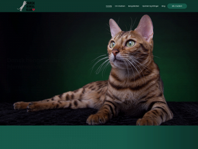 dansk-bengalklub.dk snapshot