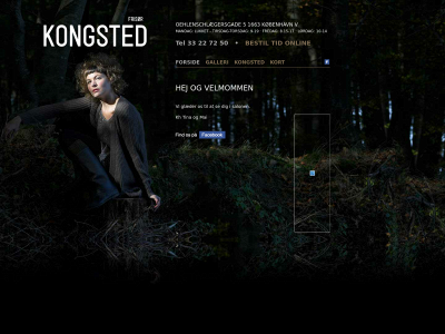 tinakongsted.dk snapshot
