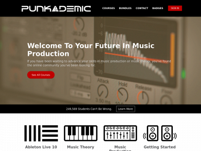 punkademic.com snapshot