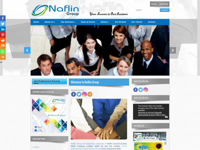 naflingroup.com snapshot