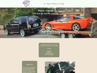 kofodscarcare.dk snapshot