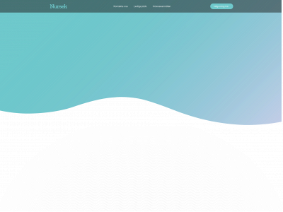 nursek.se snapshot
