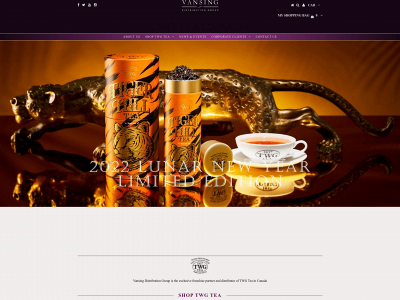 www.vansingdg.com snapshot