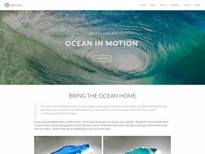 reefnine.weebly.com snapshot