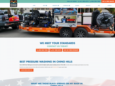 dngpowerwashing.com snapshot