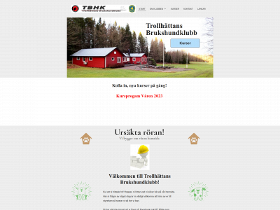 tbhk.se snapshot