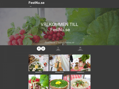 festnu.se snapshot