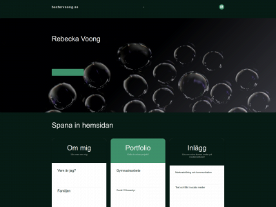 bextervoong.se snapshot